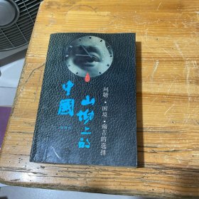 山坳上的中国：问题·困境·痛苦的选择