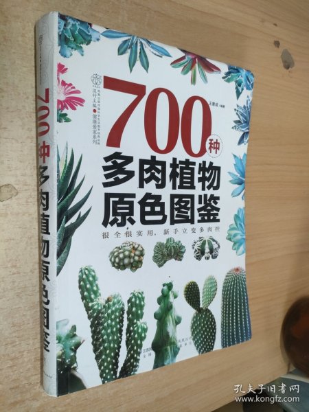 700种多肉植物原色图鉴