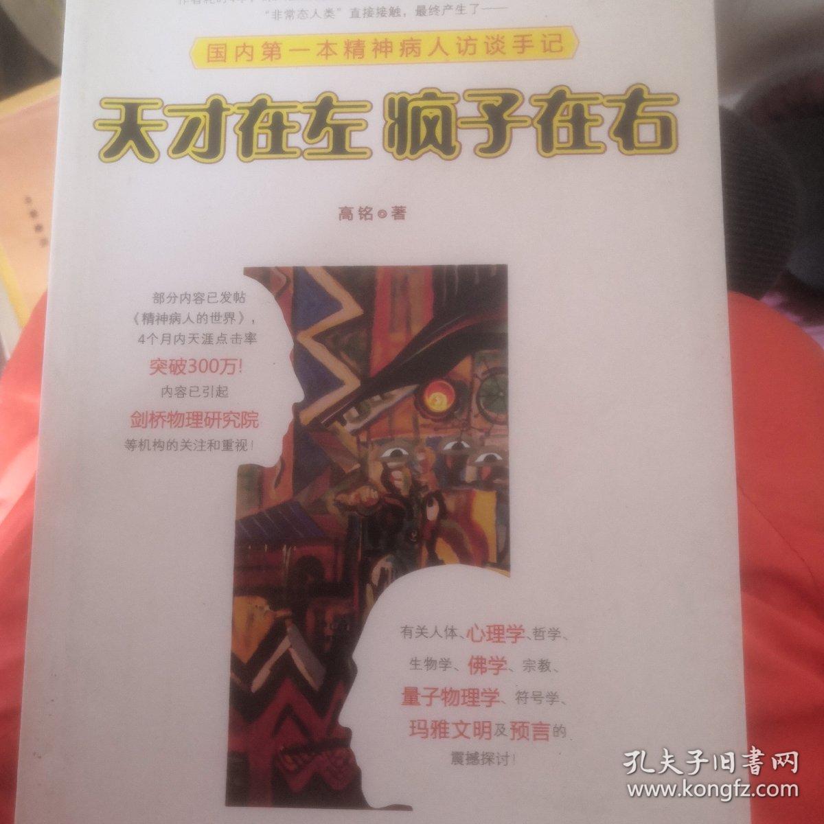 天才在左 疯子在右：国内第一本精神病人访谈手记