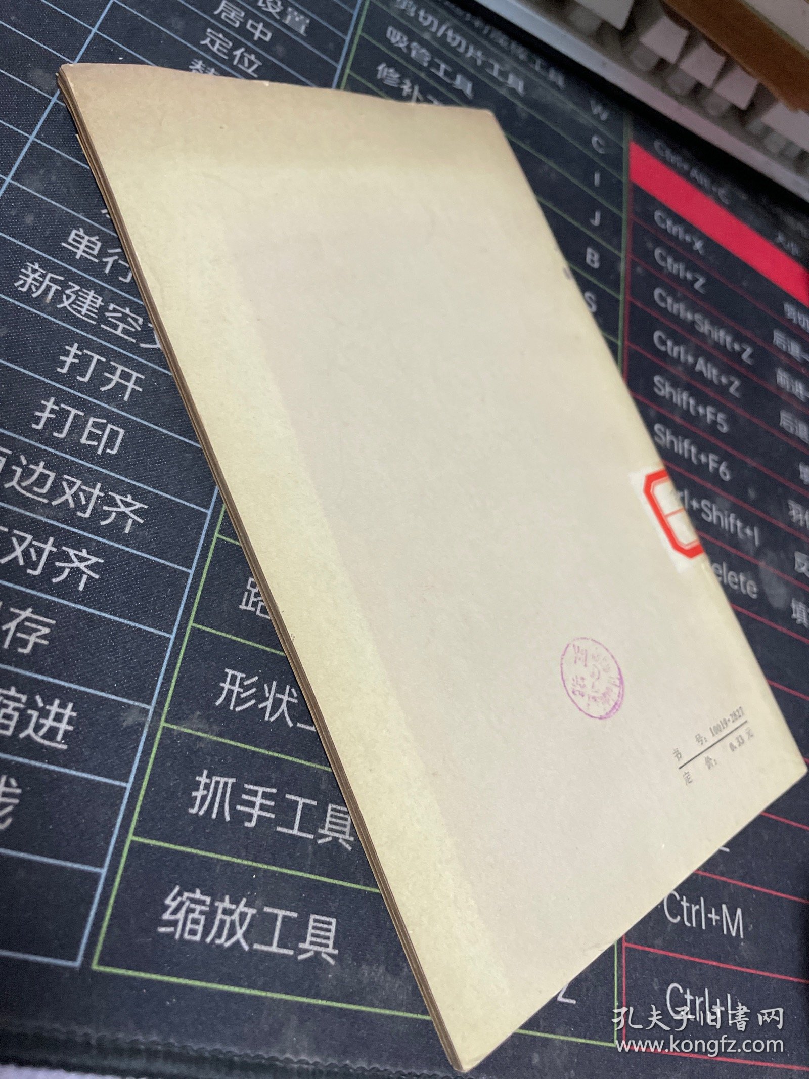 远望集