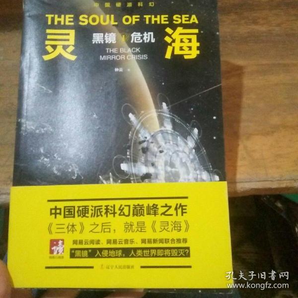 灵海：黑镜危机