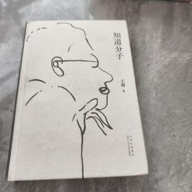 知道分子（王朔散文集全新再版。批评成风，流言才不会有空间。）