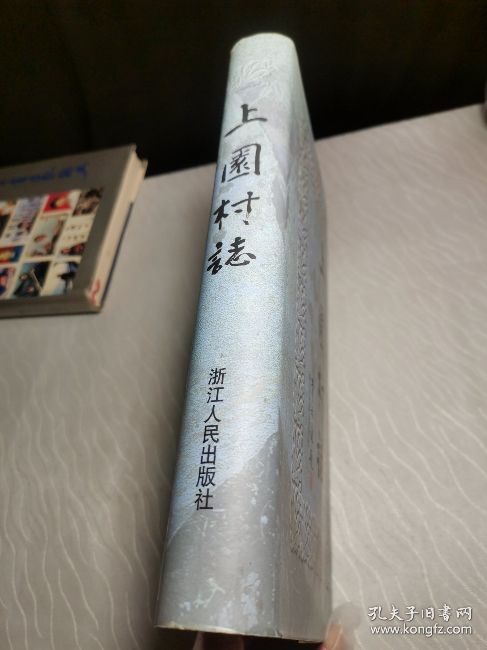 上园村志