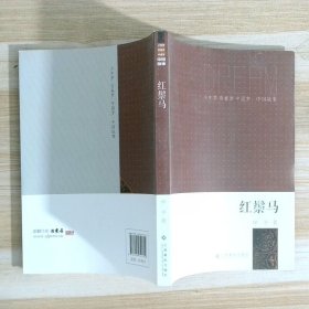 少年梦青春梦中国梦 中国故事 红鬃马