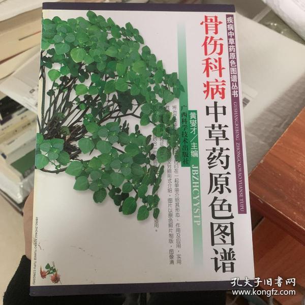 骨伤科病中草药原色图谱