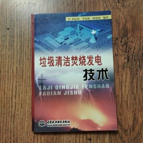 垃圾清洁焚烧发电技术