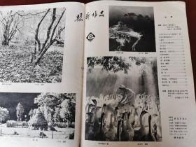 安徽画报 1979年第三期，第五期合让