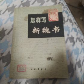 怎样写新魏书