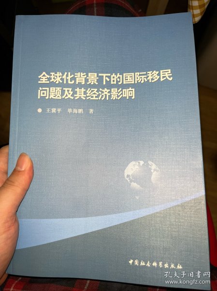 全球化背景下的国际移民问题及其经济影响