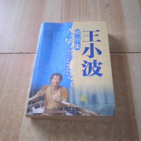 王小波精品集