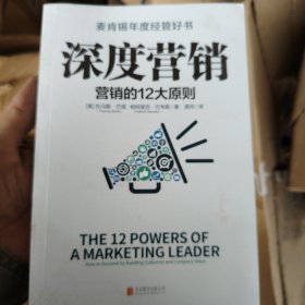 深度营销:营销的12大原则 美托马斯·巴塔、帕特里克·巴韦斯 著 美同 译