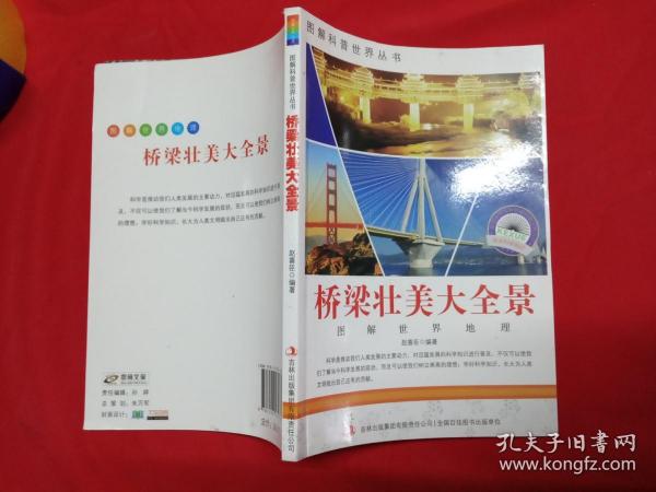 桥梁壮美大全景