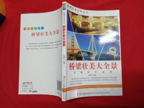 桥梁壮美大全景