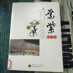 中国现代文学大师精品集丛书-叶紫