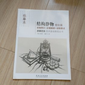 美术基础教程丛书：名师范本·结构静物·综合篇（临摹本）