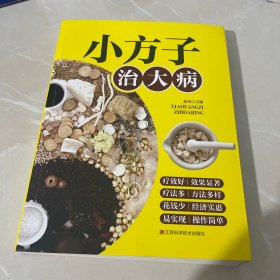 小方子治大病   中医书籍养生偏方大全民间老偏方美容养颜常见病防治 保健食疗偏方秘方大全小偏方老偏方中医健康养生保健疗法