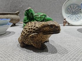 金丝楠蛤蟆