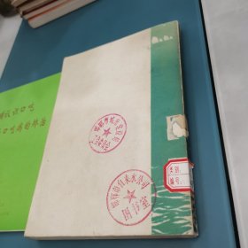 海岛女民兵
