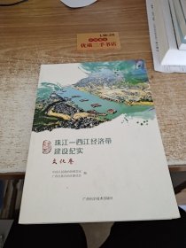 珠江西江经济带建设纪实（文化卷）/广西政协文史丛书 薄本