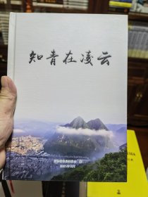 《知青在凌云》