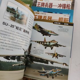 兵器帝国 王牌兵器：战斗机 冲锋枪 舰艇 轰炸机 装甲战车 名刃 坦克 手枪 机枪 步枪 （10本合售）