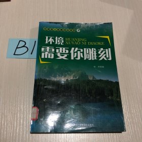 环境需要你雕刻