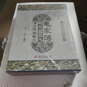 毛家湾：明代瓷器坑考古发掘报告 上下册