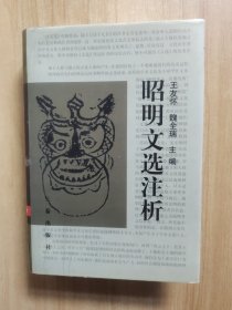 昭明文选注析