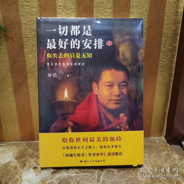 把生命的无常变成奇迹：一切都是最好安排2