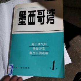 墨西哥湾:海上油气田勘探开发典型实例选编.1