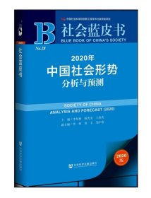 社会蓝皮书：2020年中国社会形势分析与预测