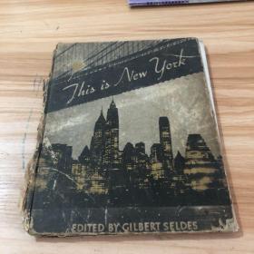 This is New york（1934年，摄影集，