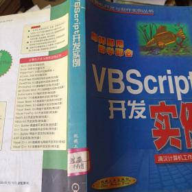 VBScript  开发实例