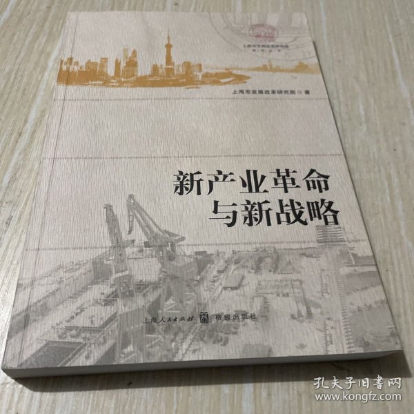 上海市发展改革研究院研究丛书：新产业革命与新战略