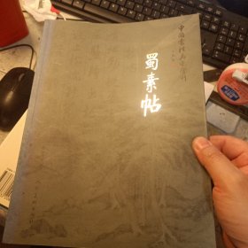 中国书法名迹赏析：蜀素贴