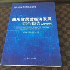 四川省民营经济发展综合报告2019年