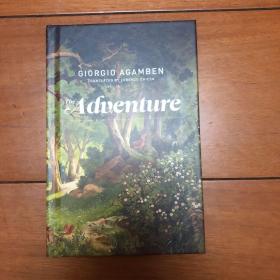 The Adventure