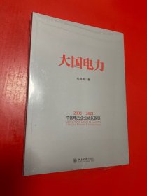 大国电力