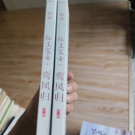 孤王寡女4鸾凤归（上下）