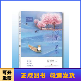 冰心儿童文学奖新锐作家精品馆:河的第三条岸