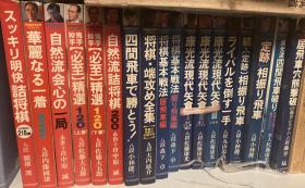 日本将棋书-完美系列丛书19卷本整套