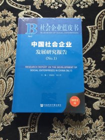 社会企业蓝皮书：中国社会企业发展研究报告（No.1）