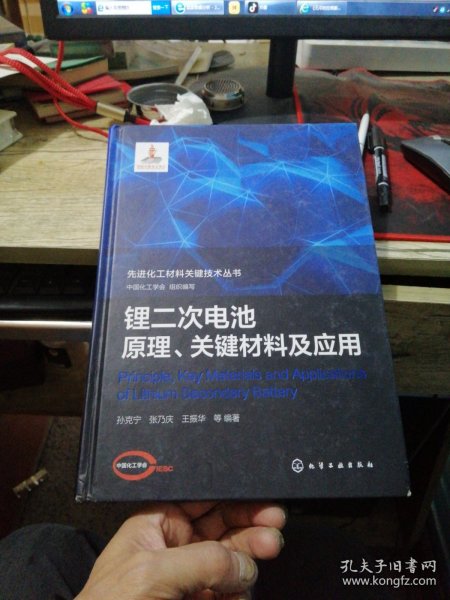 先进化工材料关键技术丛书--锂二次电池原理、关键材料及应用