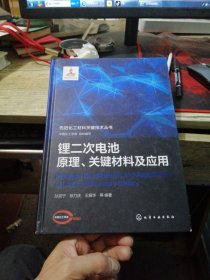 先进化工材料关键技术丛书--锂二次电池原理、关键材料及应用