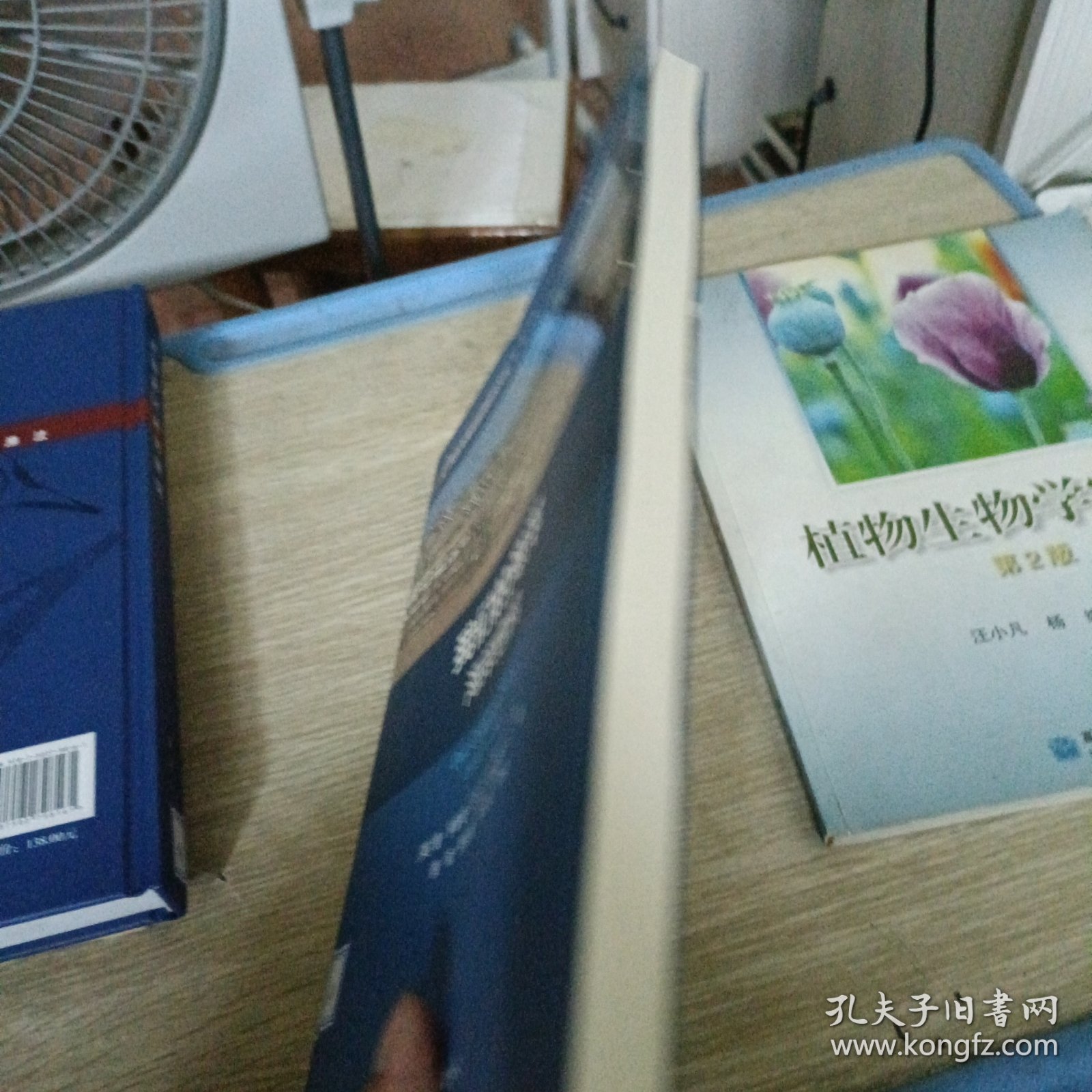 我们的海洋 海岸危机