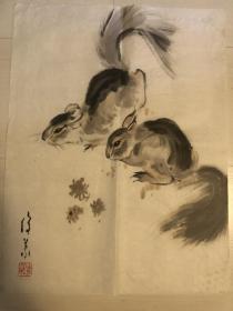 曹俊义画松鼠（239）