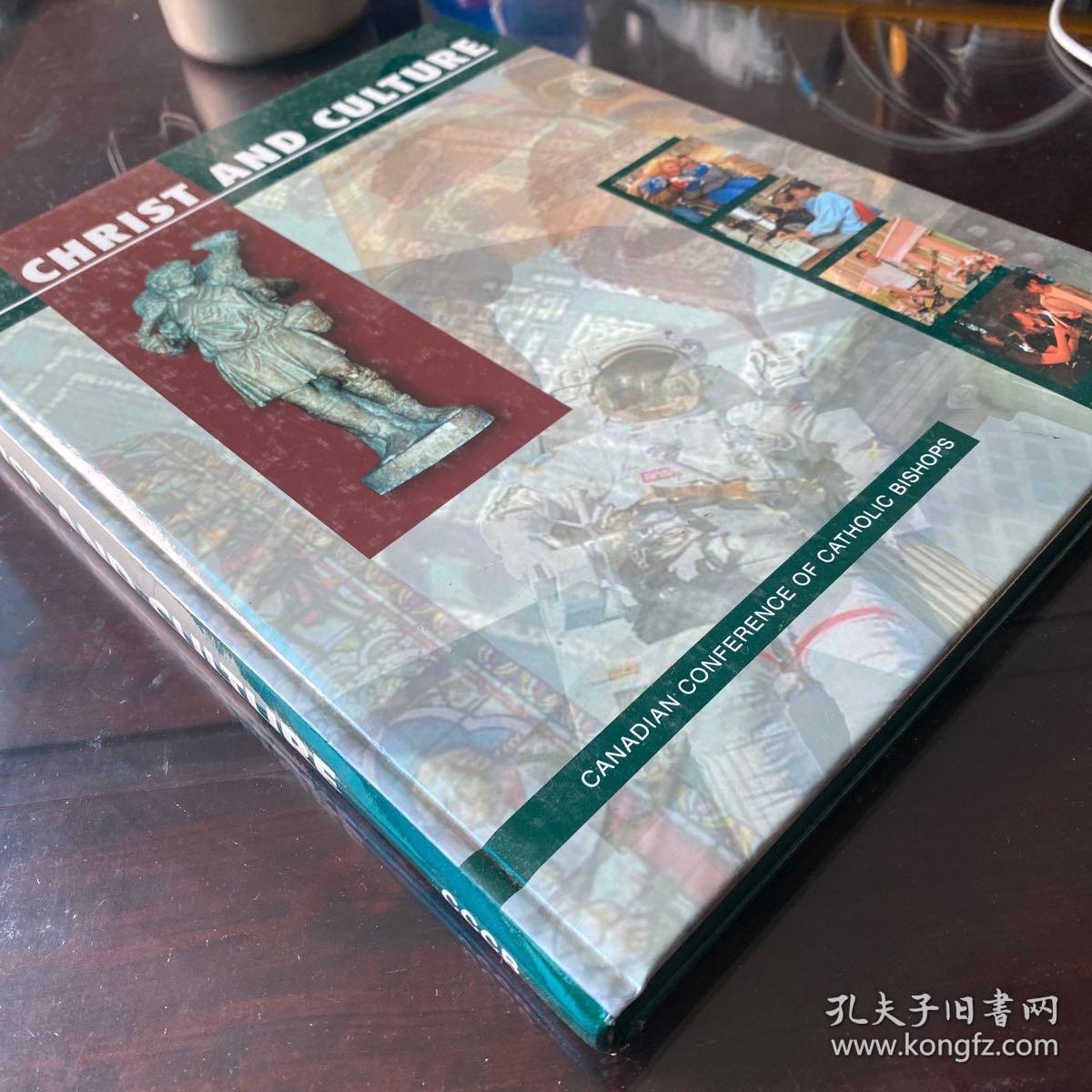 Social culture society history of cultural studies theory western philosophy 社会与文化 英文原版精装
