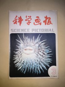 科学画报 1984年第3期