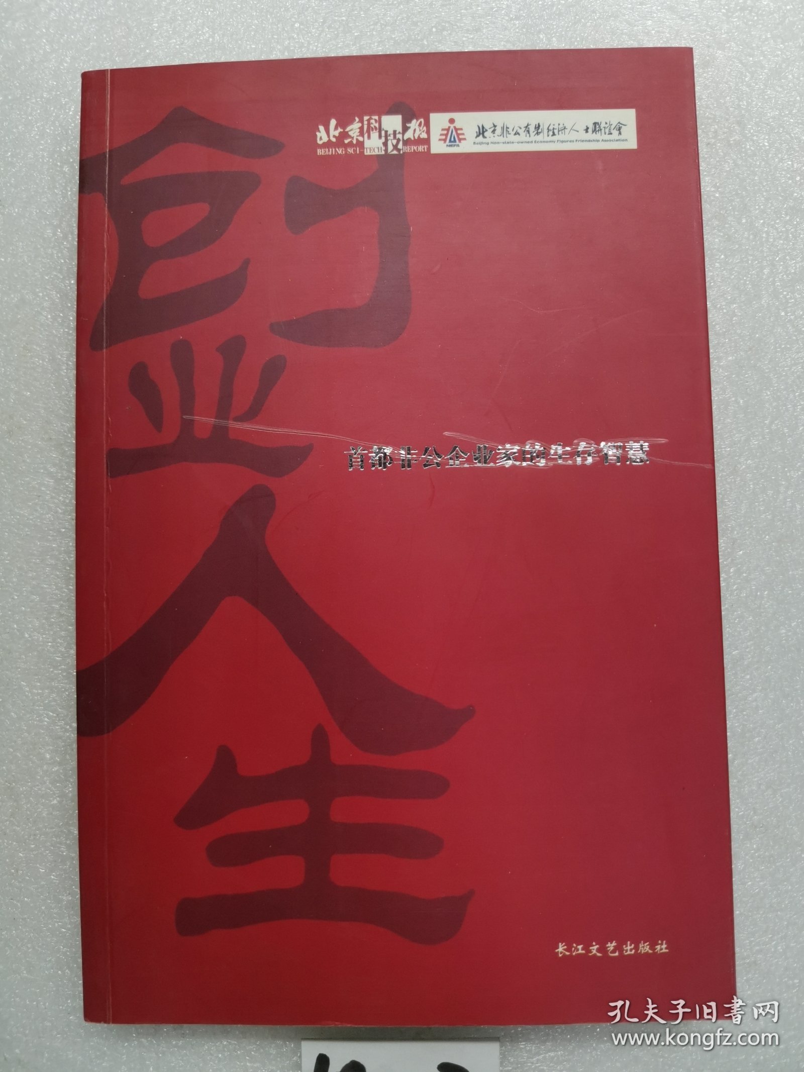 创业人生:首都非公企业家的生存智慧