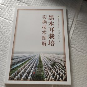黑木耳栽培实操技术图解